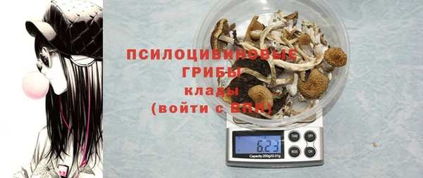 винт Липки